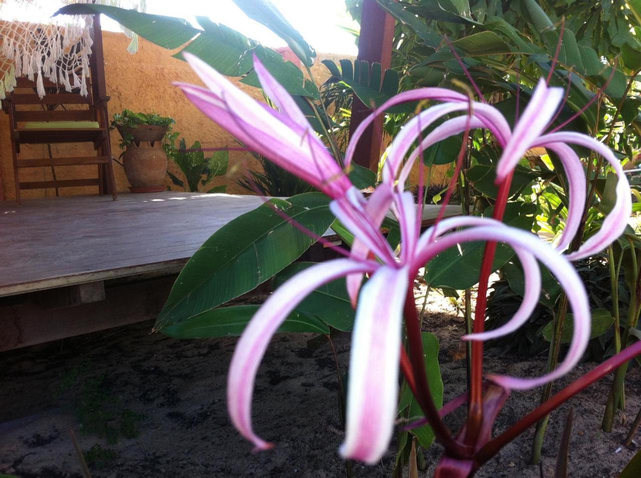 Casa Do Jardim Bed & Breakfast Canoa Quebrada Luaran gambar